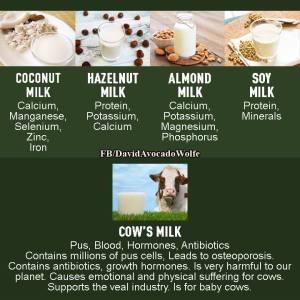 12552659_10153247552011512_8219902542494955394_n